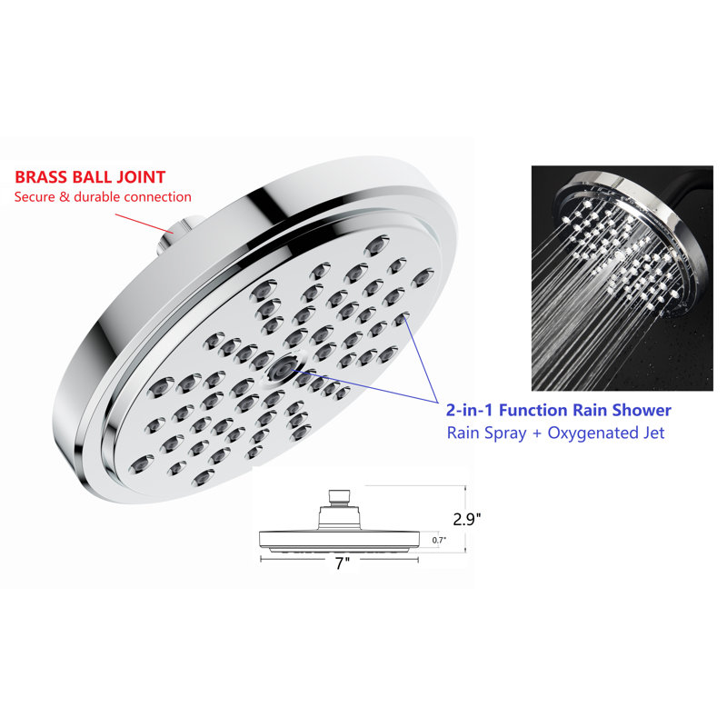 Ana Bath Multi Function Dual Shower Head with AngleAdjustable Shower